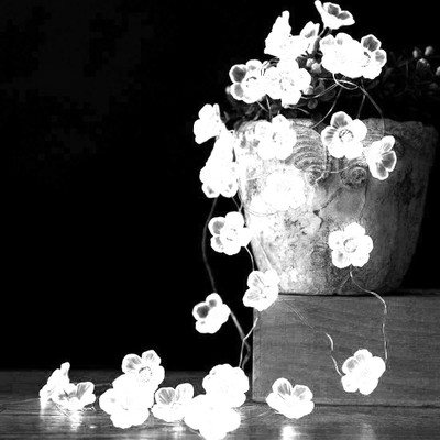 KUBER INDUSTRIES 28 LEDs 10.16 m White Flickering String Rice Lights(Pack of 2)