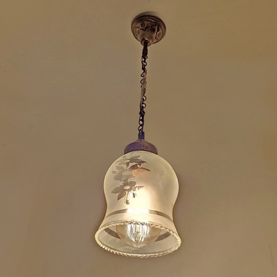 PR Prashant Ceiling Pendant Designer Floral Printed Hanging Lamp (Clear) Pendant Lamp Ceiling Lamp(Clear)
