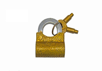 NATHAM Brass Metallic Door levers(Gold)