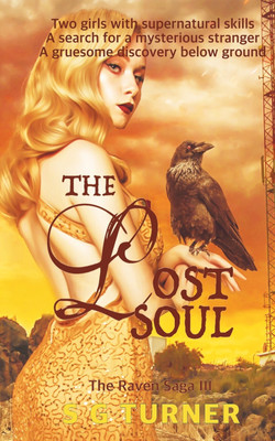 The Lost Soul(English, Paperback, Turner Sg)