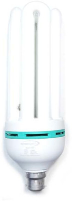 skybright 65 W Basic U-Tube B22 CFL Bulb(White)