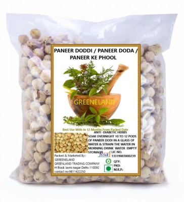 GREENELAND Paneer DODI | Indian Rennet | Paneer Doda | Paneer Ka Phool Seed(1000 per packet)