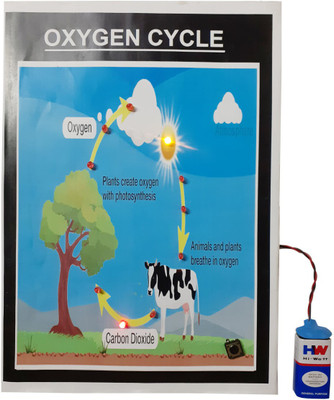 MELODY's Oxygen Cycle Science Working Model Educational Electronic Hobby Kit