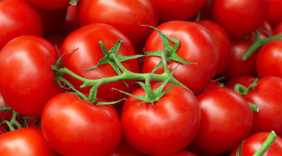 Naaz SPS-1178 HAYBRID TOMATO SEEDS Seed(200 per packet)