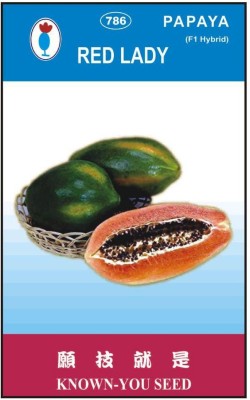 Green India Seeds red lady 786 papaya f1 hybrid seeds 10 g Seed(650 per packet)