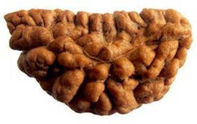 SHREE JAGDAMBA BHAWAN EK MUKHI RUDRAKSHA (LAB CERTIFIED) Wood Pendant