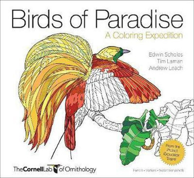 Birds of Paradise - A Coloring Expedition(English, Paperback, Leach Andrew)