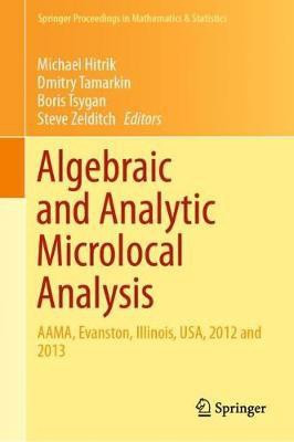 Algebraic and Analytic Microlocal Analysis(English, Hardcover, unknown)