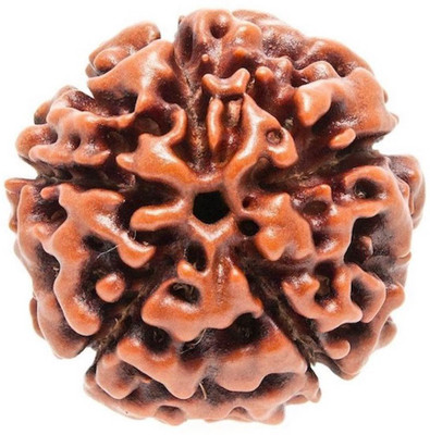 PETRICHOR 5 mukhi Nepali rudraksha bead Wood Locket