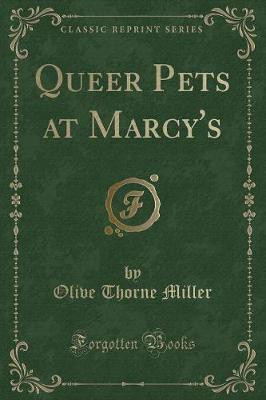 Queer Pets at Marcy's (Classic Reprint)(English, Paperback, Miller Olive Thorne)