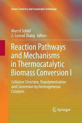 Reaction Pathways and Mechanisms in Thermocatalytic Biomass Conversion I(English, Paperback, unknown)
