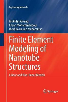 Finite Element Modeling of Nanotube Structures(English, Paperback, Awang Mokhtar)