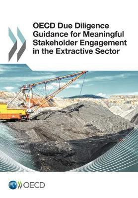 OECD due diligence guidance for meaningful stakeholder engagement in the extractive sector(English, Paperback, Organisation for Economic Co-operation, Development)