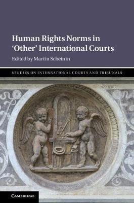 Human Rights Norms in 'Other' International Courts(English, Hardcover, unknown)