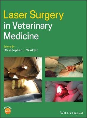 Laser Surgery in Veterinary Medicine(English, Electronic book text, unknown)