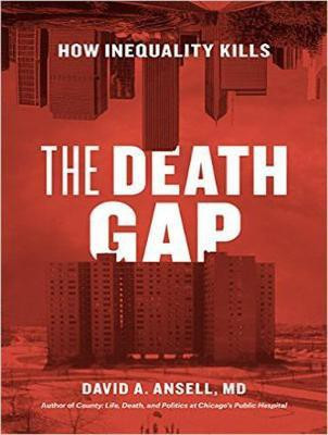 The Death Gap(English, CD-Audio, Ansell David A.)