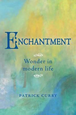 Enchantment(English, Paperback, Curry Patrick)