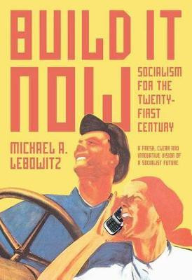 Build it Now(English, Hardcover, Lebowitz Michael A.)