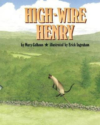 High-Wire Henry(English, Paperback, Calhoun Mary)
