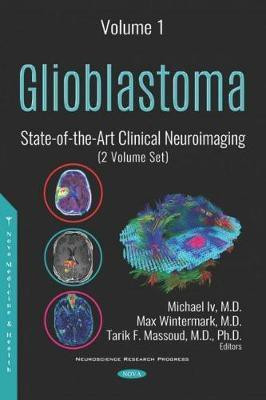 Glioblastoma(English, Hardcover, unknown)