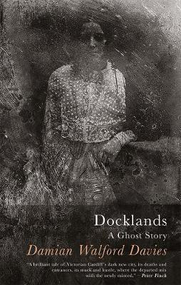 Docklands(English, Paperback, Davies Damian Walford)