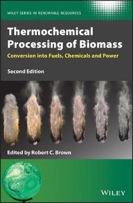 Thermochemical Processing of Biomass(English, Hardcover, unknown)