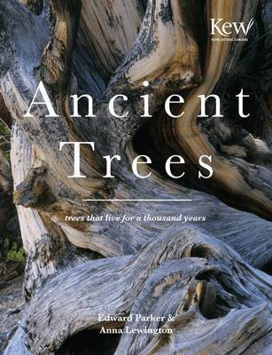 Ancient Trees(English, Electronic book text, Lewington Anna)