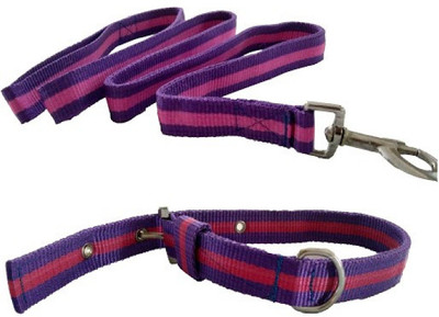 Quality Traders Dog Harness & Leash(Medium, Multicolor)