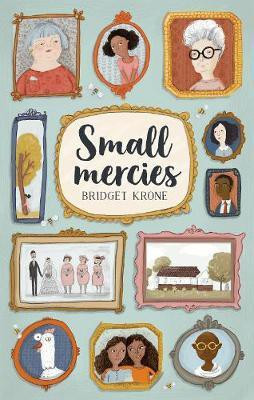 Small Mercies(English, Paperback, Krone Bridget)