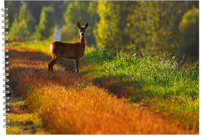 Family store A3_id:09 Sketch Pad(30 Sheets)