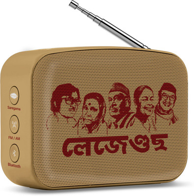 saregama carvaan go flipkart