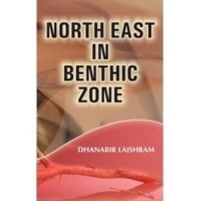 North East in Benthic Zone(English, Hardcover, Laishram Dhnabir)