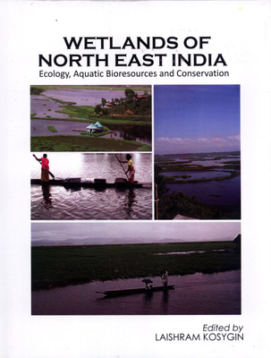Wetlands of North East India(English, Hardcover, Kosygin Laishram)