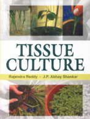Tissue Culture(English, Hardcover, Rajendra Reddy, J.P.Abhay Shankar)