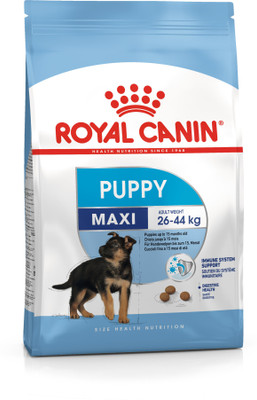 royal canin maxi puppy 1kg
