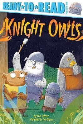 Knight Owls(English, Hardcover, Seltzer Eric)