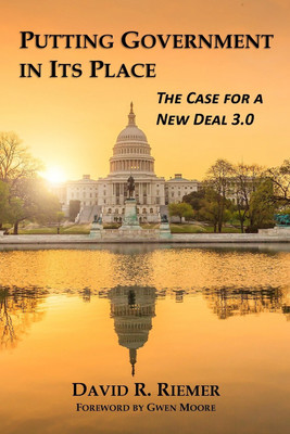 Putting Government in Its Place(English, Paperback, Riemer David R)