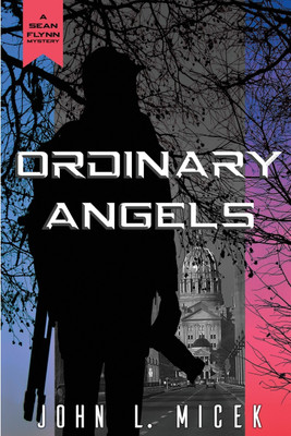 Ordinary Angels(English, Paperback, Micek John L)
