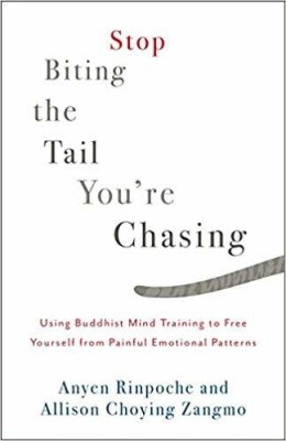 Stop Biting the Tail You re Chasing(English, Paperback, ANYEN RINPOCHE)