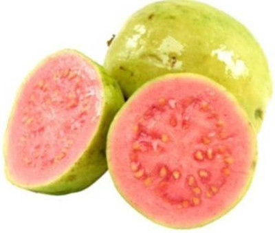 VINAYAKAUSHADHI Red Guava Fruit Seeds(90 Seeds) Seed(90 per packet)