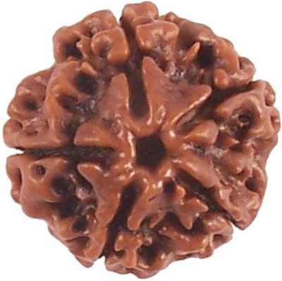 CHEZEL 5 MUKHI Nepal RUDRAKSHA (5 Faced) Lab Certified Nepal Bead Wood