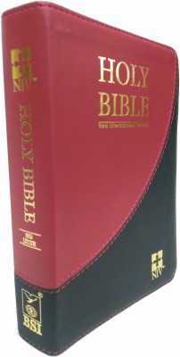 Holy Bible Niv Red Letter Edition Compact(LEATHER, BSI)