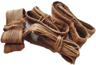 WILD FOREST DANDASA Seed(100 per packet)