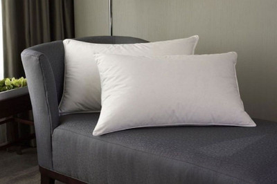 Embroco Polyester Fibre Solid Travel Pillow Pack of 2(White)