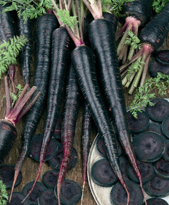 R-DRoz Black Carrot Vegetables Super Quality Seeds - Pack of 100 Seeds Premium Quality Seed(100 per packet)