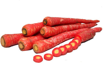 R-DRoz R-DRoz Red Carrot Vegetables Super Quality Seeds - Pack of 100 Seeds Seed(100 per packet)