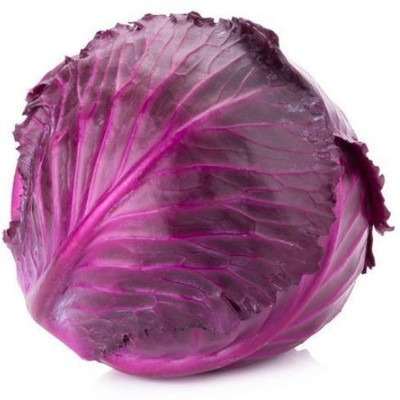 R-DRoz R-DRoz Red Cabbage Vegetables Seeds - Pack of 50 Seeds Premium Quality Seed(50 per packet)