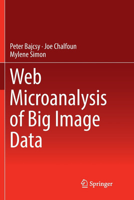 Web Microanalysis of Big Image Data(English, Paperback, Bajcsy Peter)