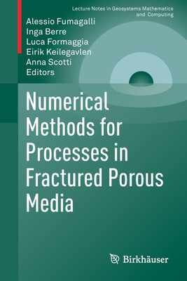 Numerical Methods for Processes in Fractured Porous Media(English, Paperback, unknown)
