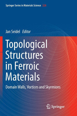 Topological Structures in Ferroic Materials(English, Paperback, unknown)